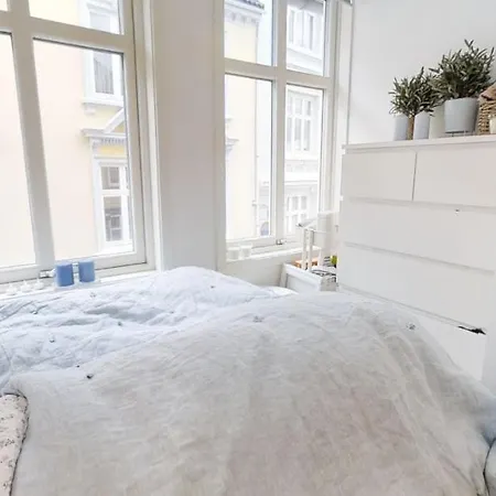 Skivebakken Apartment